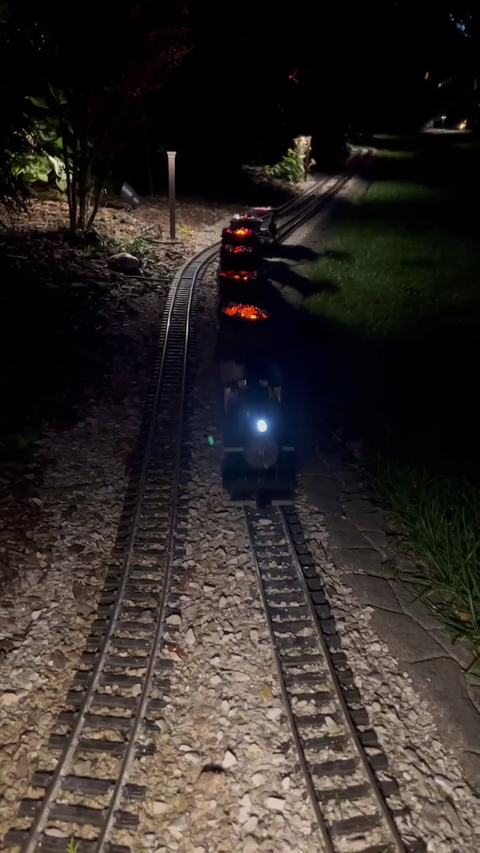 Illuminated train