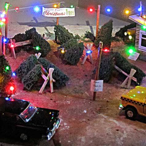 Christmas tree farm with lights