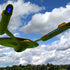 Enterprise In The Sky