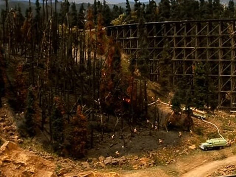 Forest Fire Scene