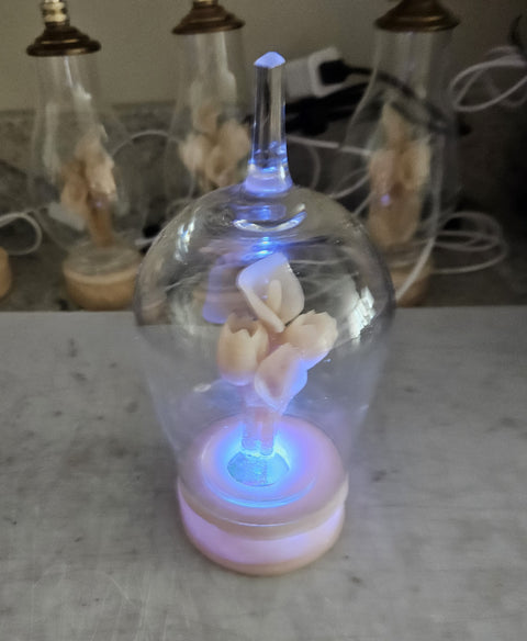 Glass Display Lamp with 5 Volt Color Changing Mega LED