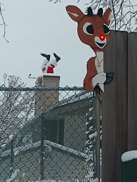 Rudolph's nose
