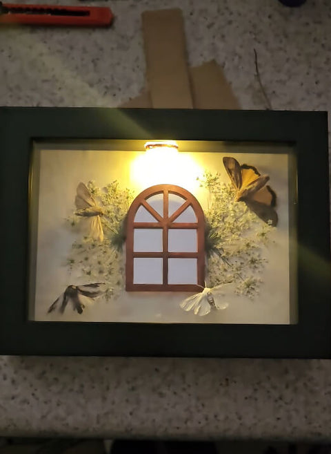 Window Scene with Moths