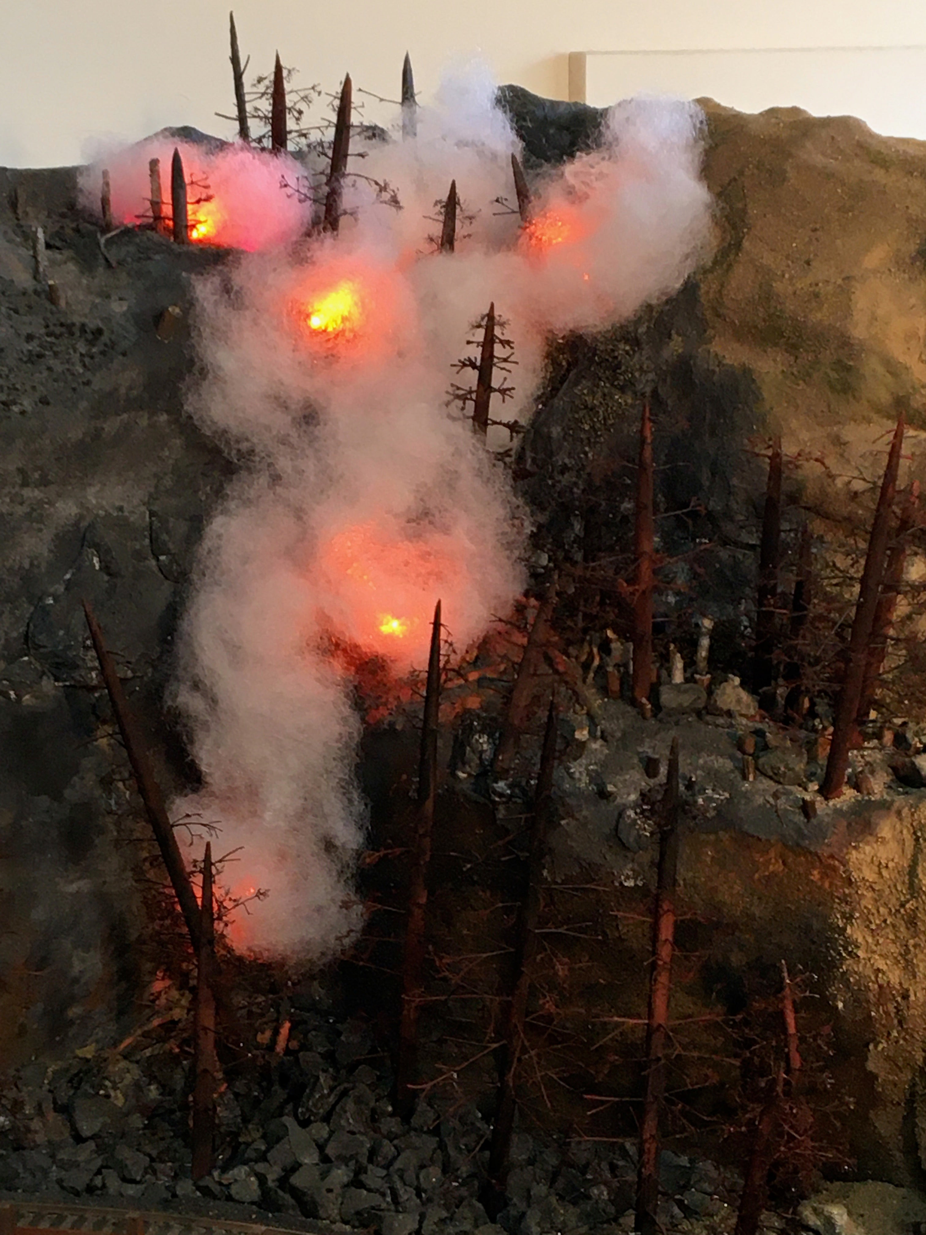 Forest Fire Model with Poly-fil Smoke and Fire Kits