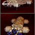 Eagle Transporter