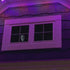 Ghost in the window