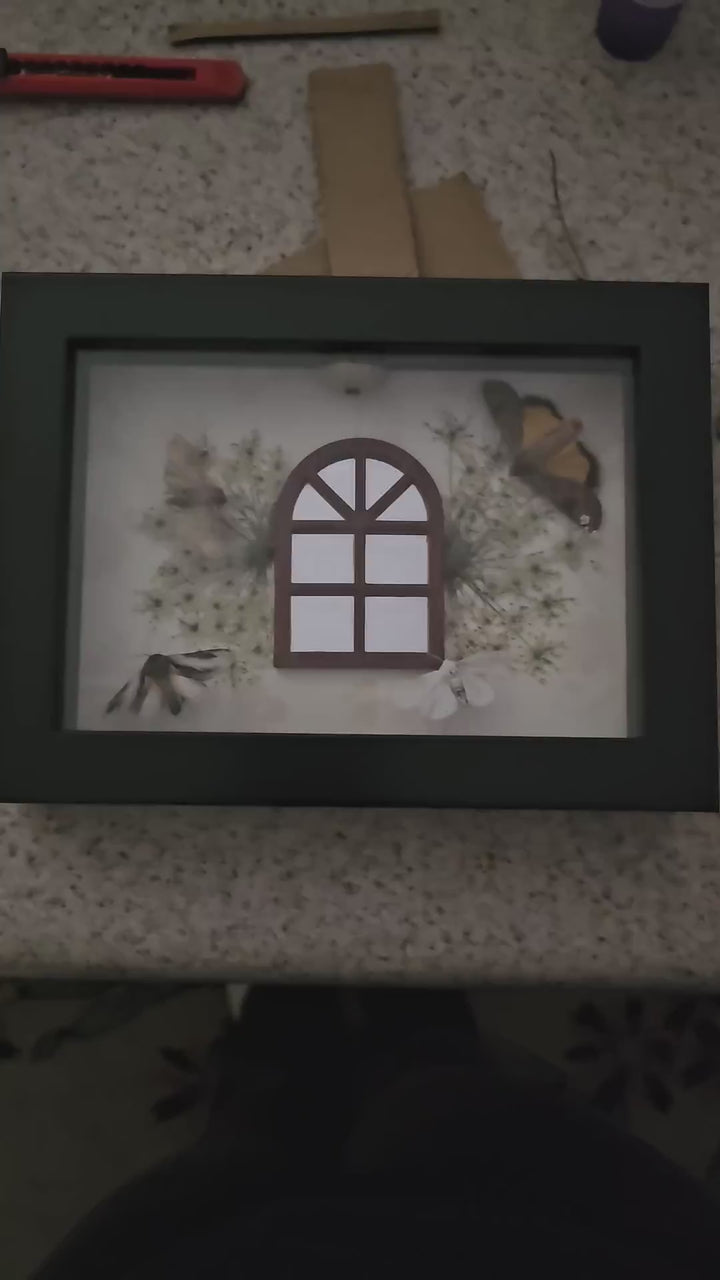 Window Scene with Moths