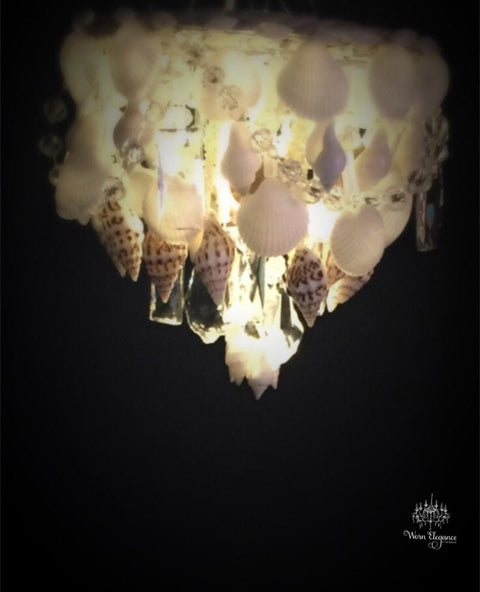 Seashell chandelier