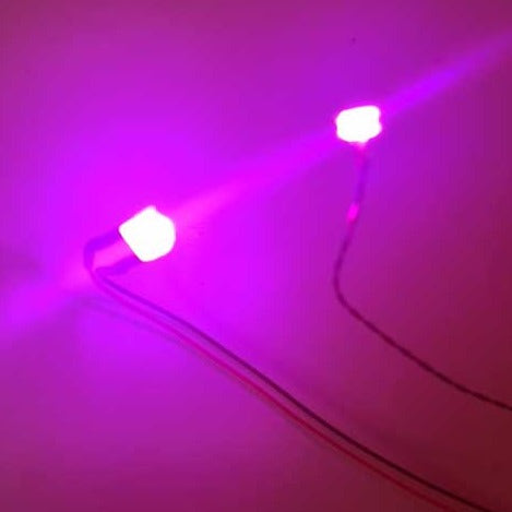 Pink LED lights